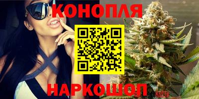 СК Славгород