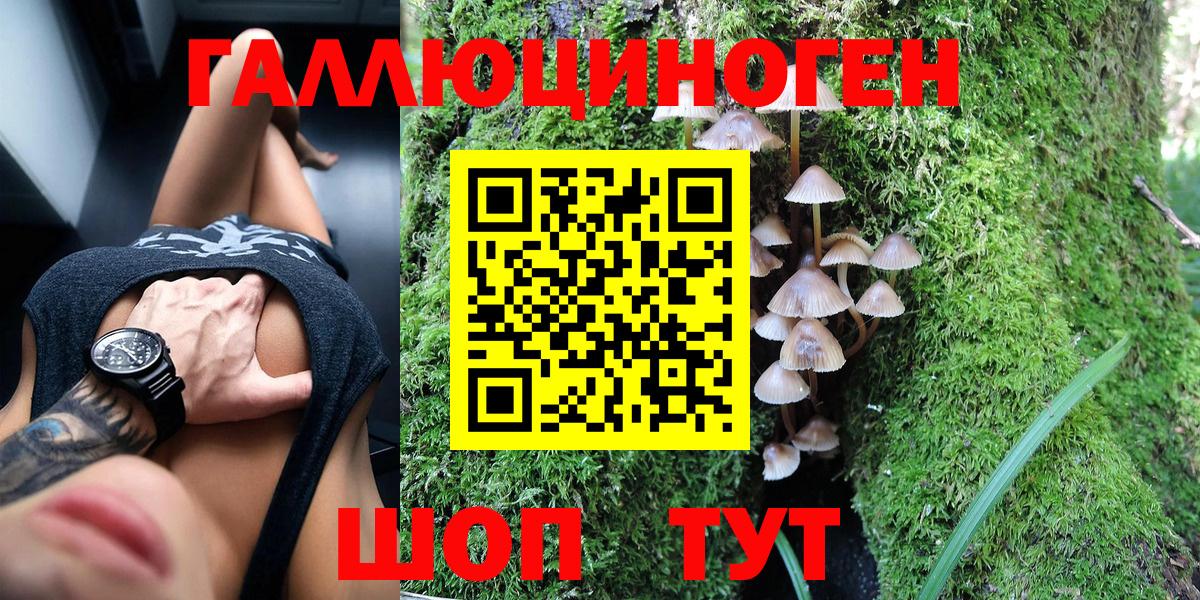 Галлюциногенные грибы Psilocybine cubensis Ноябрьск